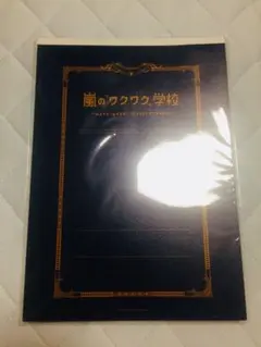 嵐　A4版 レポート用紙 (下敷き付き)