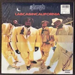 2026年最新】LABCABINCALIFORNIAの人気アイテム - メルカリ