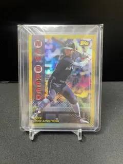 PETE CROW-ARMSTRONG PCA /50 RC
