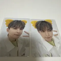 Super Junior 厲旭 無尾熊餅乾小卡兩張