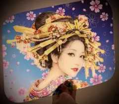 安全窓パーフェクトクオンH29.～『花魁』パネル（光を通すタイプ