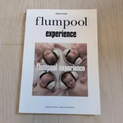 experience flumpool