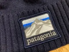 極美品　Patagonia パタゴニア ブロデオ・ビーニー　フリー　ニット帽