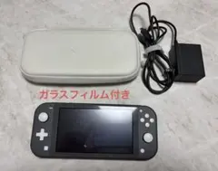 Switchライト 本体 グレー