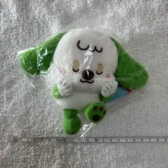 いないいないばぁ！ わんわん