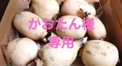 れんこん　かおたん様専用