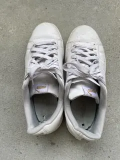 puma スニーカー