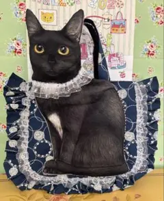 着ぐるみドレスねこちゃん トートバッグ コヤンイサムチョン - メルカリ