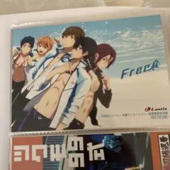 Free! 描きおろし生動画 七瀬遙＆松岡凛 ランチョンマットセット Free! 描きおろし生動画 七瀬遙＆松岡凛 ランチョンマットセット