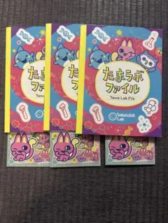 たまごっちパラダイス たまラボファイル たまラボステッカー みゃおっち 3セット