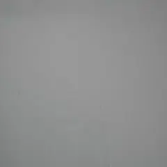 にゃー様　リモ白①＋300