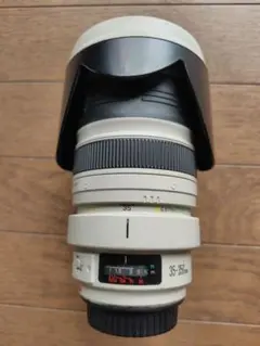 2026年最新】EF35-350mm F3.5-5.6L USMの人気アイテム - メルカリ
