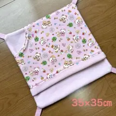 Item thumbnail for item 9dd6bb83-9a2d-4ce3-8fc2-5164966965b2