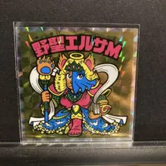 No.23 野聖エルサM