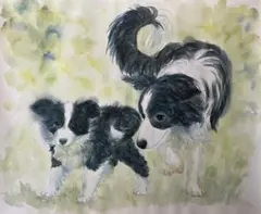 あっこちゃん様専用　ボーダーコリー　水彩画