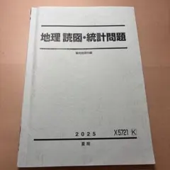 【岡田了一郎先生】駿台『通期　地理　オリジナルプリント』 73枚　MSクラス 地理 駿台 岡田了一郎 授業プリント - メルカリ