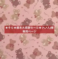 ✧︎*。★そら★歳末大感謝セール★ (❛ᴗ❛人)様 専用ページ✧︎*。12/29