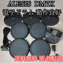 2026年最新】Alesis DM7の人気アイテム - メルカリ
