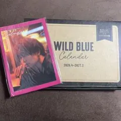 WILDBLUE 綱啓永 カレンダー セット
