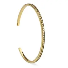 Item thumbnail for item 0af9a4b5-2b9c-487f-9989-4a39691c9b49