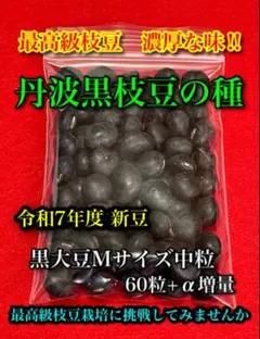 ロクニィ様 リクエスト 2点 まとめ商品