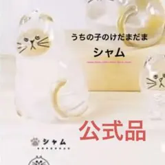 新品未使用　うちの子のけだまたま　シャム