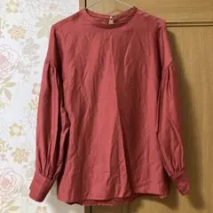 グリーンレーベルリラクシング　パールボタン 長袖ブラウス テラコッタ