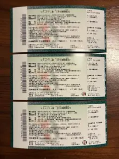 マチュピチュ展　平日限定券　3枚　森アーツセンターギャラリー