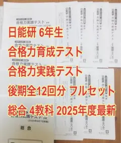 【2025年度最新】日能研6年生後期 合格力育成＆実践テスト総合4科全12回フル