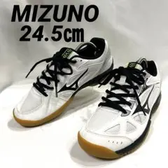 ✨極美品✨Mizuno バレーボールシューズ 24.5