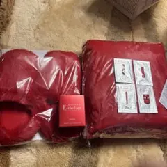 たかの友梨 エステファクト 1個　ブランケット &スリッパ&サンプル4包