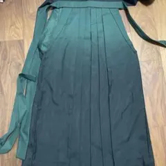 Item thumbnail for item 46af7451-59c8-470f-a250-c95f71e898cf