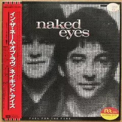 2枚セット Set Fire to Flames 輸入盤 帯付き - メルカリ