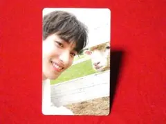 SEVENTEEN social club ドギョム カードトレカ