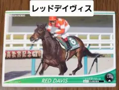 OWNERS HORSE レッドデイヴィス