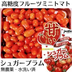高糖度ミニトマト【シュガープラム】jardin 650g 甘味強 高リコピンのサムネイル
