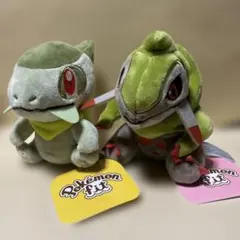 2026年最新】Pokemon_fitの人気アイテム - メルカリ