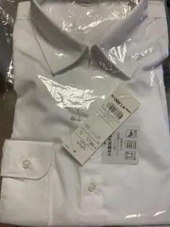 レディース長袖ブラウス（11号）