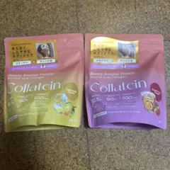 Item thumbnail for item 54ceeb2e-7e27-40b8-89ca-cceddceccb42