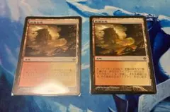 MTG 乾燥台地 Arid Mesa 日本語版 ドラゴンスケイルfoil - メルカリ