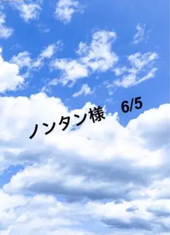 武井信広様 リクエスト 2点 まとめ商品 - メルカリ