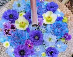 Stein様 リクエスト 3点 まとめ商品