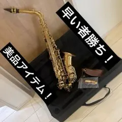 美品 SELVA ソプラノサックス 希少 ケース付 ゴールド 管楽器 - メルカリ