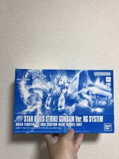 2026年最新】HGBF 1/144 スタービルドストライクガンダム Ver.RG