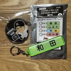 〈千葉ロッテマリーンズ〉和田康士朗　選手　セット