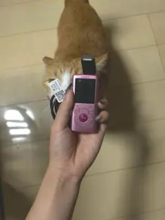 Item thumbnail for item ea678b1c-365f-40ed-ac0e-9139401cdcef