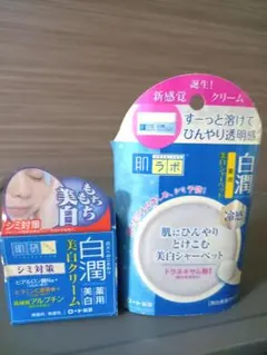 肌研 白潤 薬用美白クリーム ・冷感美白シャーベット2種セットのサムネイル