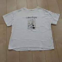 ハニーズ　GLACIER グラフィックTシャツ Mサイズ