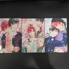 たまらないのは恋なのか 4巻セット 小冊子付き - メルカリ