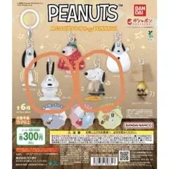 PEANUTS カプセルトイ めじるしアクセサリー FUNNY ver.